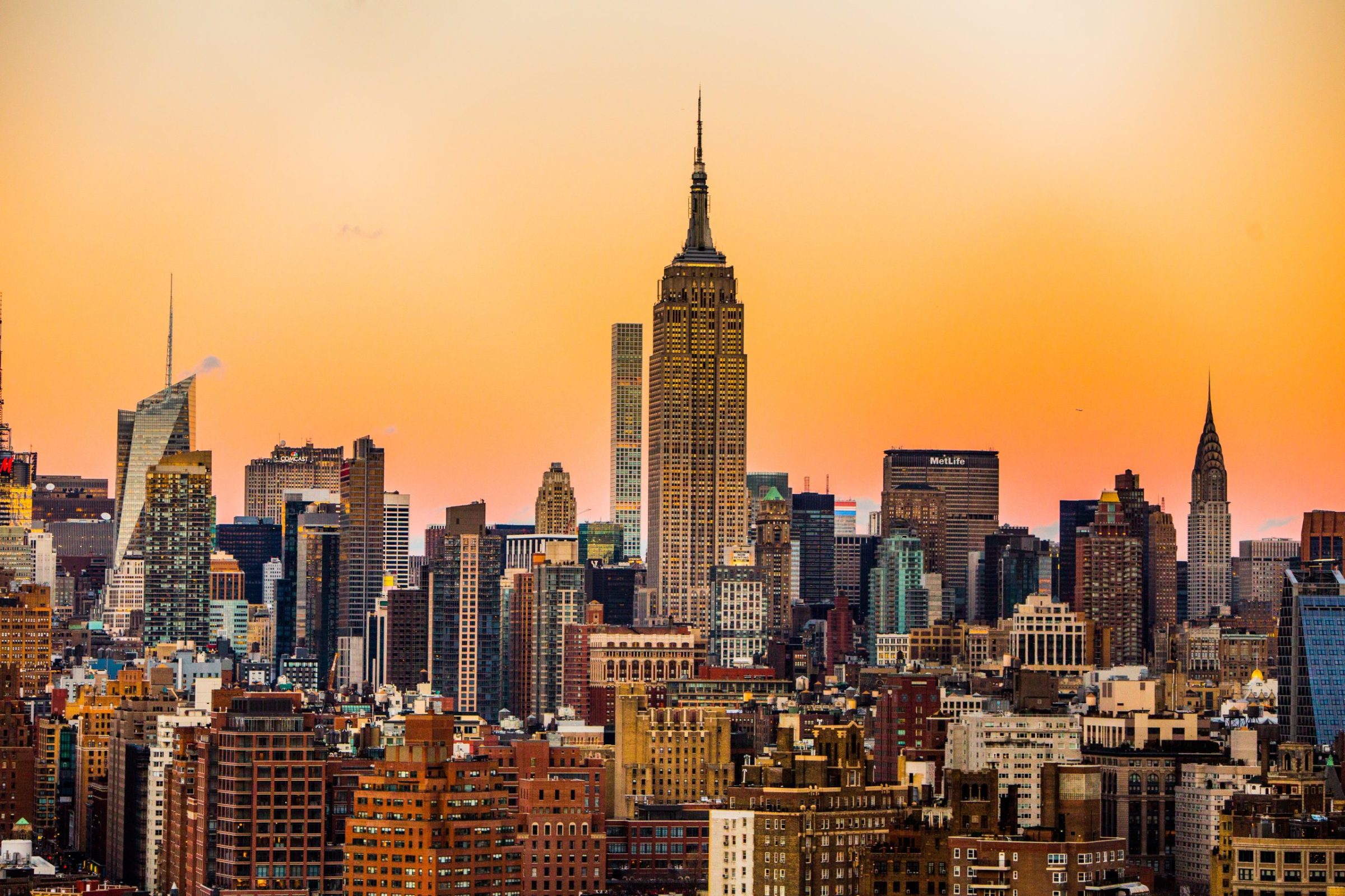 NYC Legends Reimagined: Your Next Cut at Village Cuts